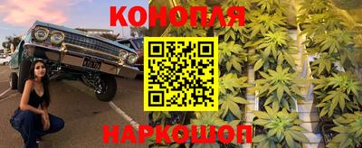 каннабис Усть-Джегута